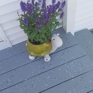 Meet your Posher, Barbara